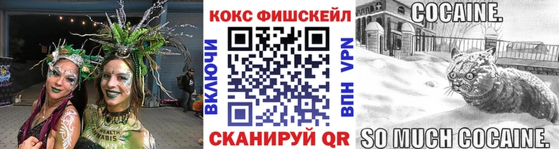Купить закладки  Шлиссельбург  COCAIN Колумбийский 