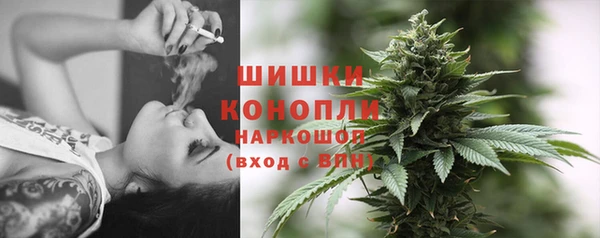стаф Пролетарск