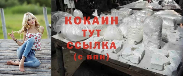 стафф Ростов